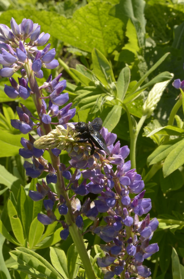 Солнечный день