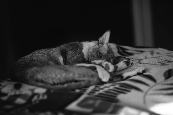 Когда неделя только началась, а ты уже все