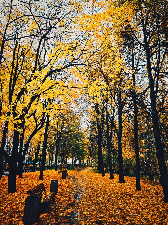 Московская осень...