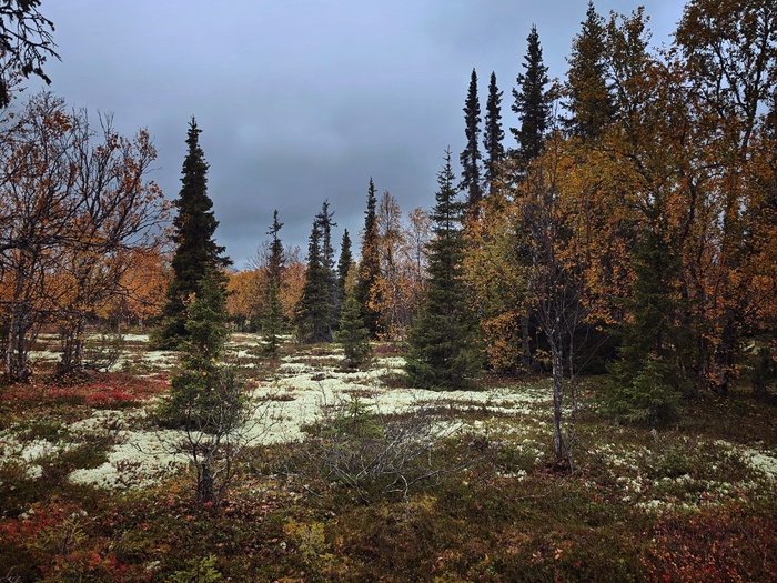 Если что, это не снег