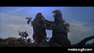 xefvkyhw.gif