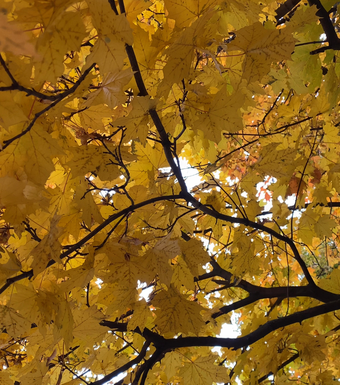 Ретрит в темноте