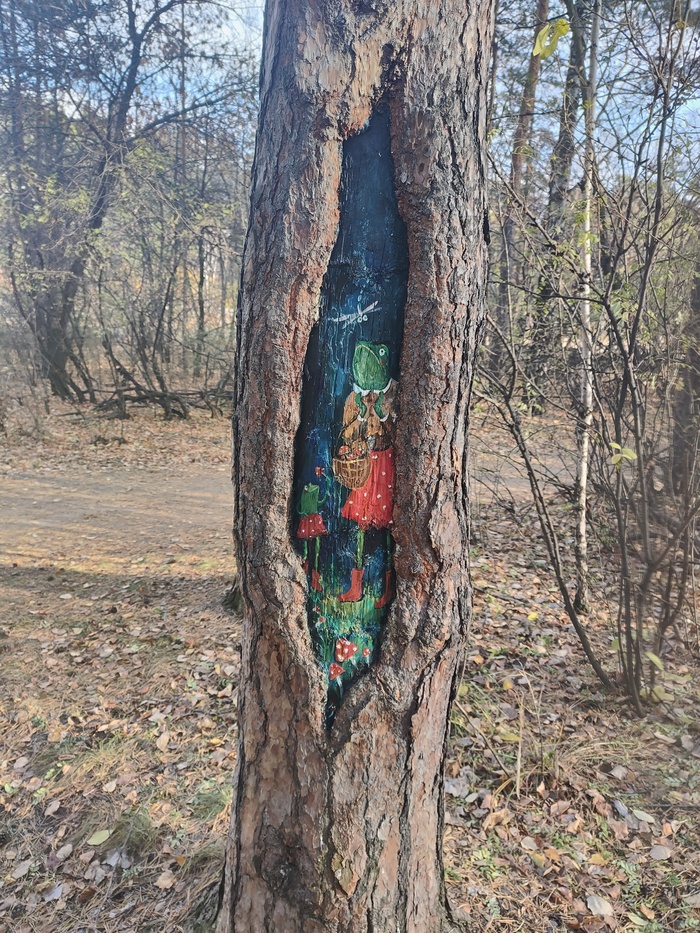 Неожиданные жабки в лесу