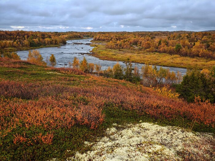 Вид на реку Чаваньга
