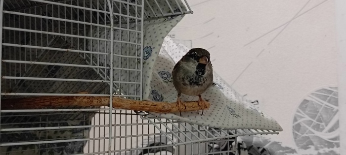 Вы кто такие? Я вас не звал....