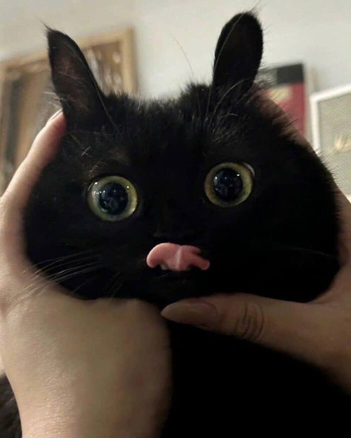 здравствуйте