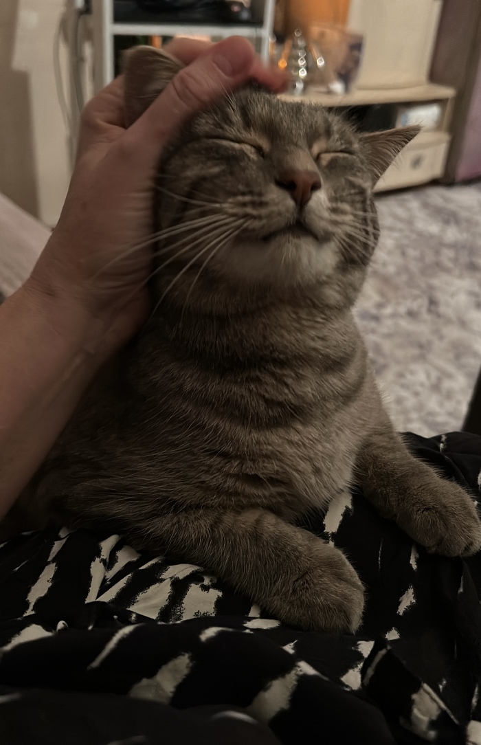 Мы соскучились…