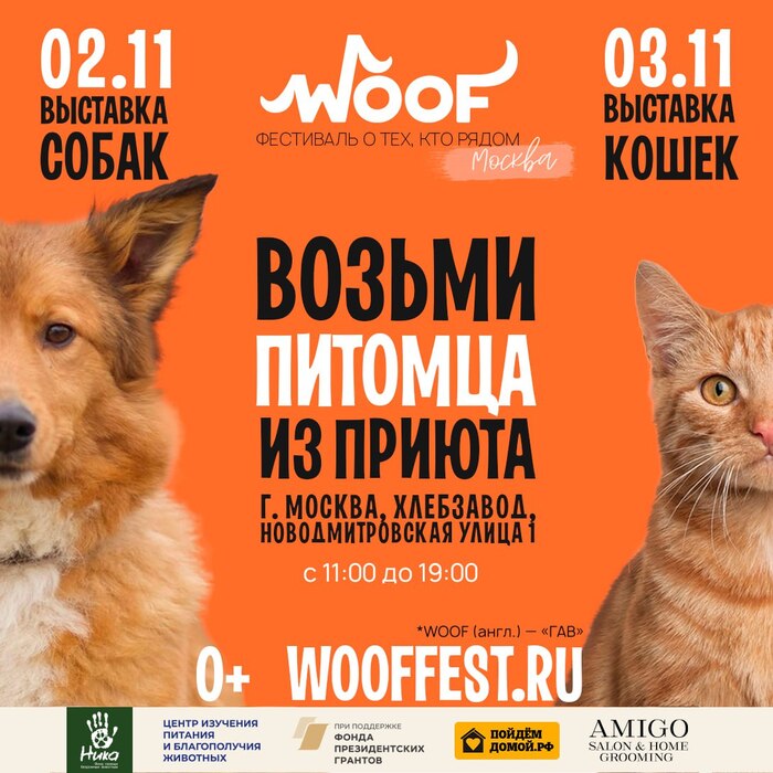    WOOF FEST  !