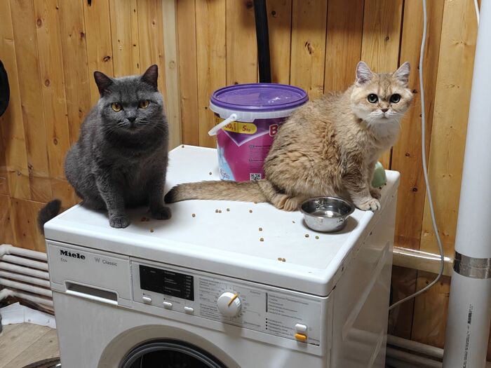 Продолжение поста «Оправдается ли мое доверие?»