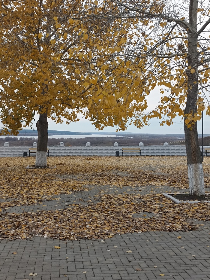 Без названия