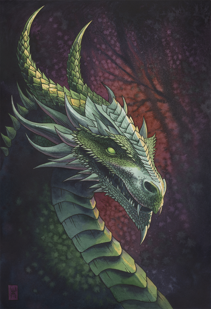 Акварель, хлопковая бумага А3, линеры.