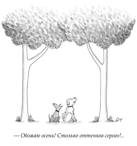 Краски осени