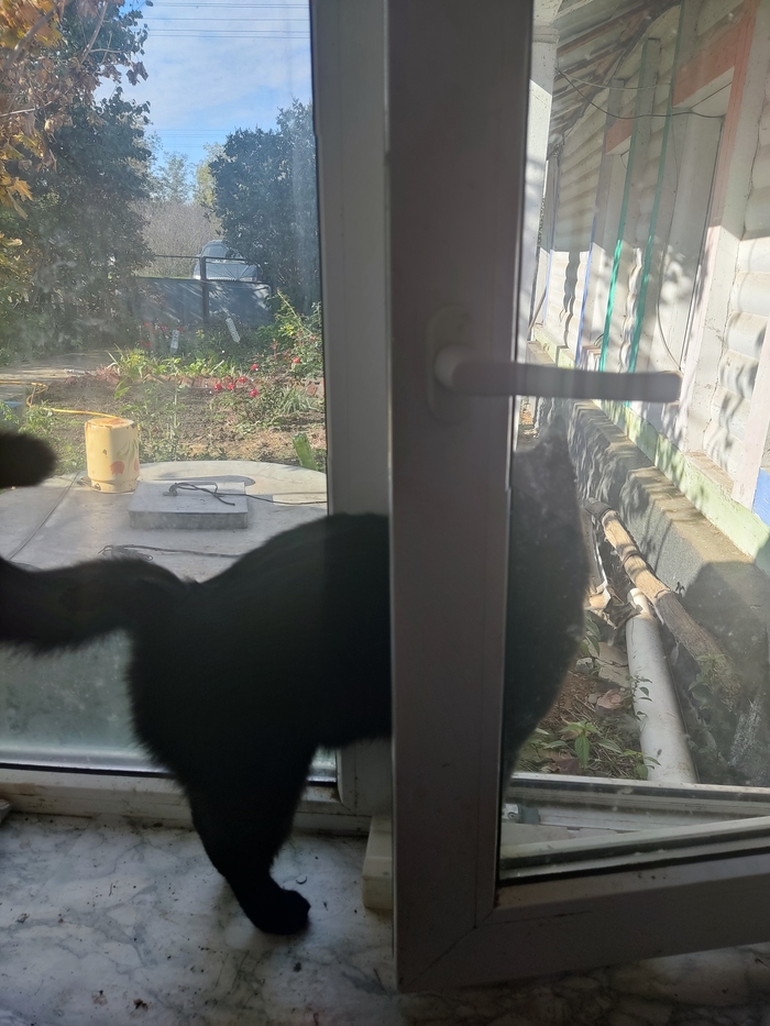 ����� �� ���� ����