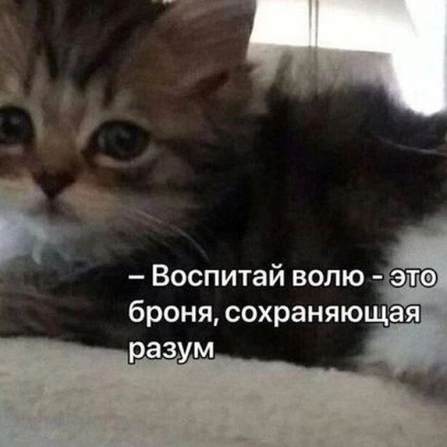 Control your emotions discipline your mind