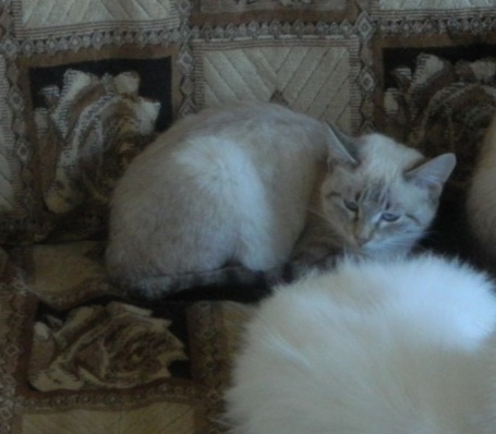 �����, �����, ����� �� �����. �� ��������� � ��� ����������... (((���� �� ������ (((