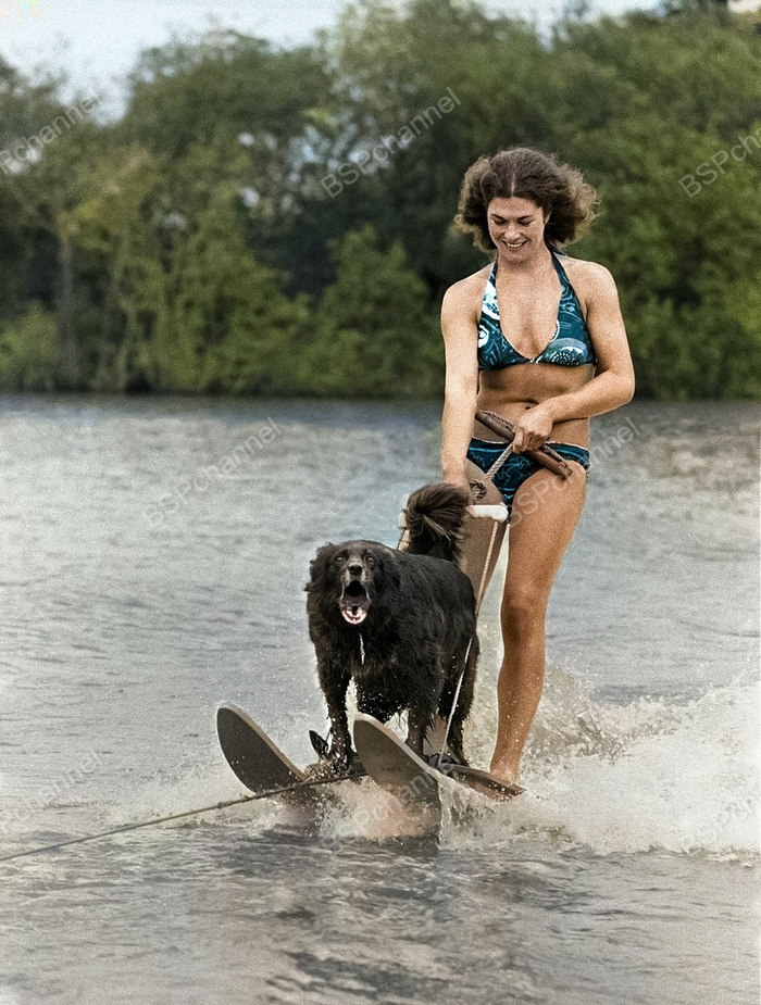 Фотограф: Джон Дрисдейл