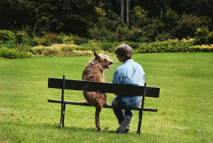 Фотограф: Эллиотт Эрвитт