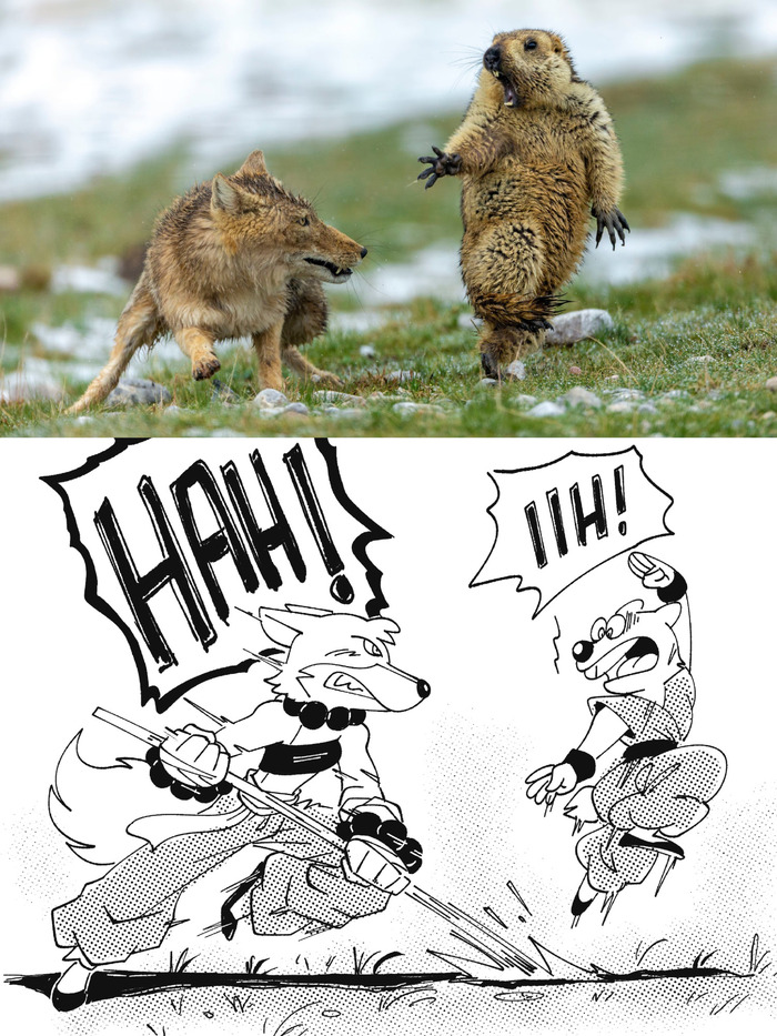 : <!--noindex--><a href="https://pikabu.ru/story/lisyabr_risunok_19__tibetskaya_lisitsa_13307629?u=https%3A%2F%2Fbsky.app%2Fprofile%2Ffoxpopvli.bsky.social%2Fpost%2F3m3lanjdakc2a&t=https%3A%2F%2Fbsky.app%2Fprofile%2Ffoxpopvli.bsky.social%2Fpost%2F3m3lanjd...&h=427ca495f87f1986e9c34cd94a00d2937fe03b84" title="https://bsky.app/profile/foxpopvli.bsky.social/post/3m3lanjdakc2a" target="_blank" rel="nofollow noopener">https://bsky.app/profile/foxpopvli.bsky.social/post/3m3lanjd...</a><!--/noindex-->