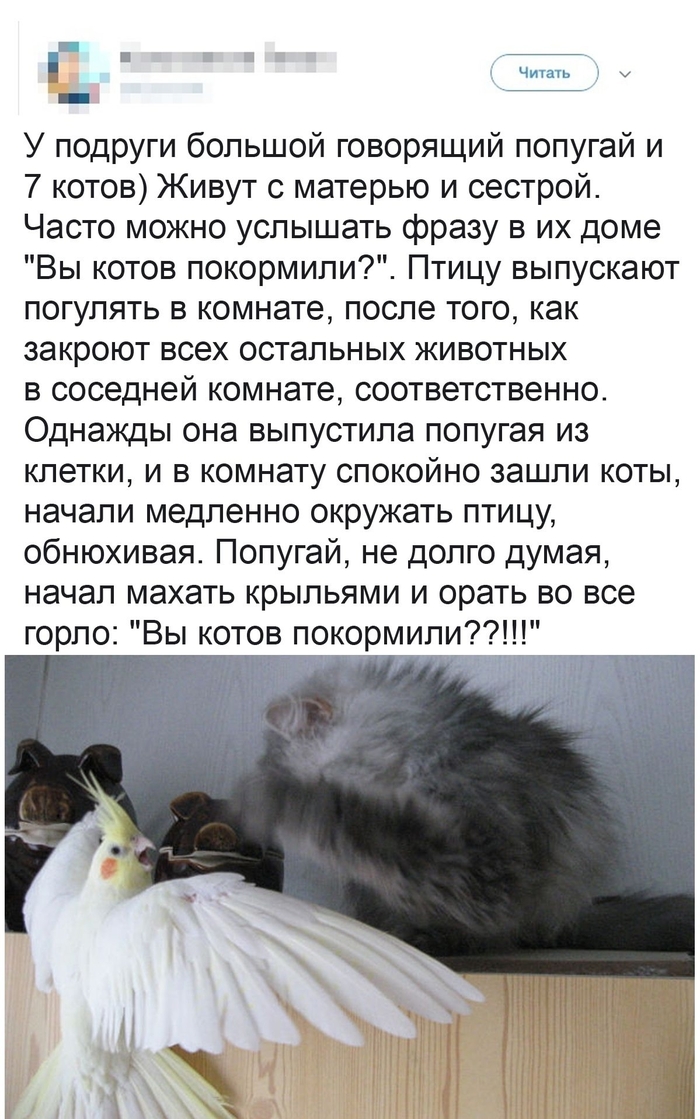 Интернетте қайықтағы секс көру