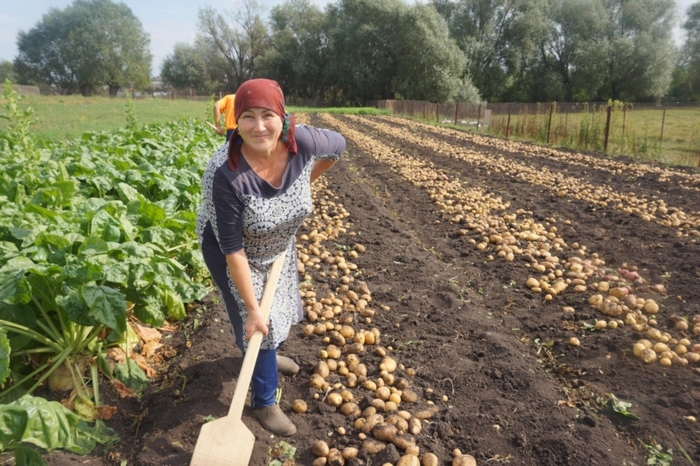 Революция(научная - техническая) в отдельной деревне