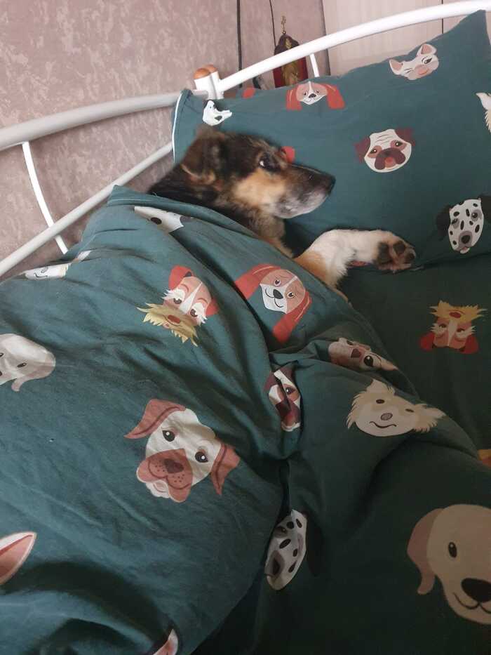 � ��� �� ���������� � ������� � �������? 