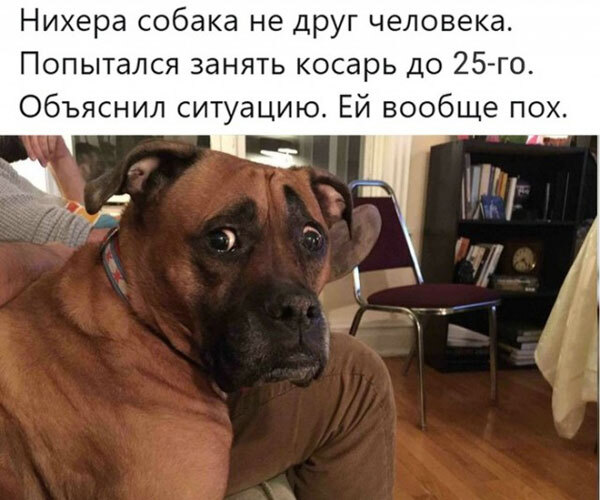 Друзья такие друзья...