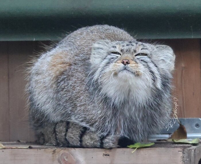 Утро начинается, начинается