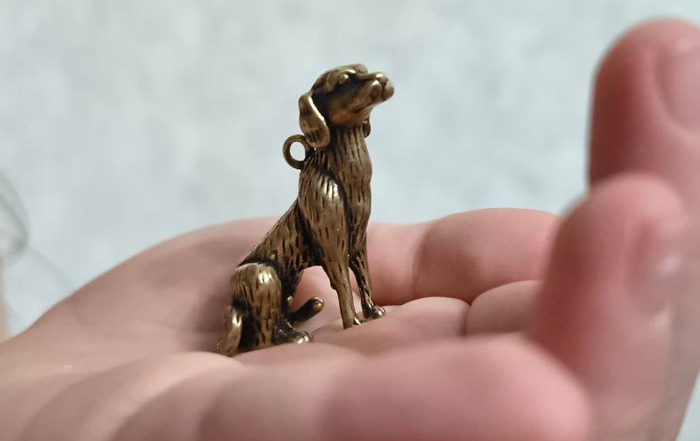 Она не знает пород и родословных. Её мир — это стук сердца хозяина и тёплые ладони, готовые к игре.