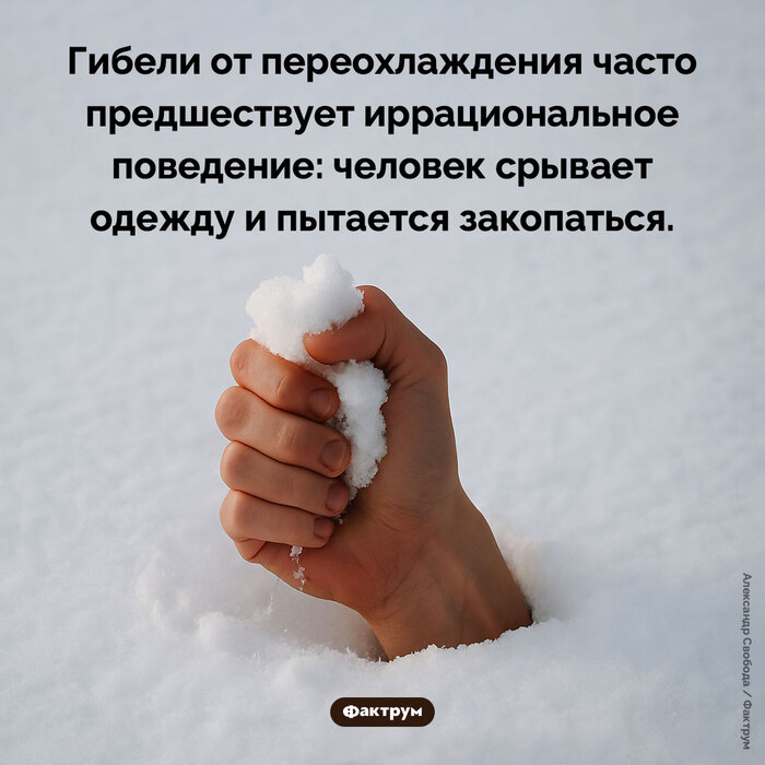 Ответ на пост «Подборка интересных фактов № 205»