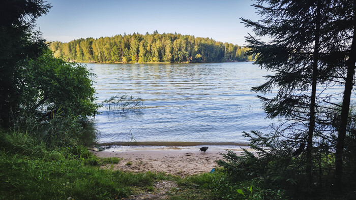Инспекцией в виде уточки пребывание на данном месте разрешено.