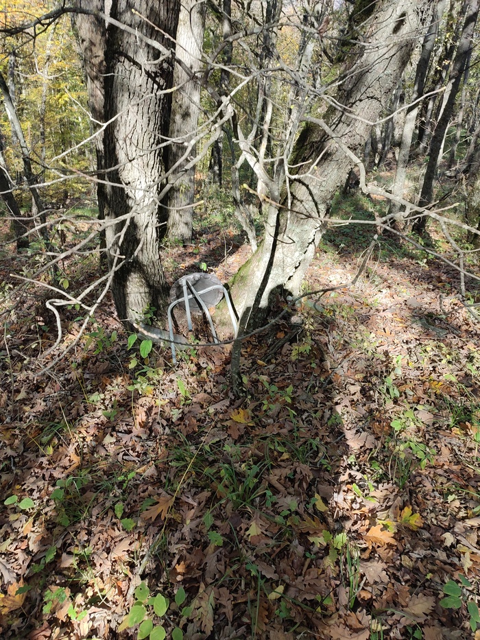 Человек верующий построил алтарь в лесу, но мусор за собой забрать религия не позволила