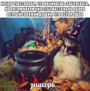 Целебное зелье
