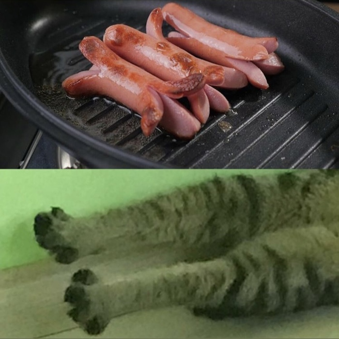  , 