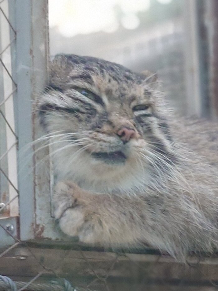 Ещё три минуточки...