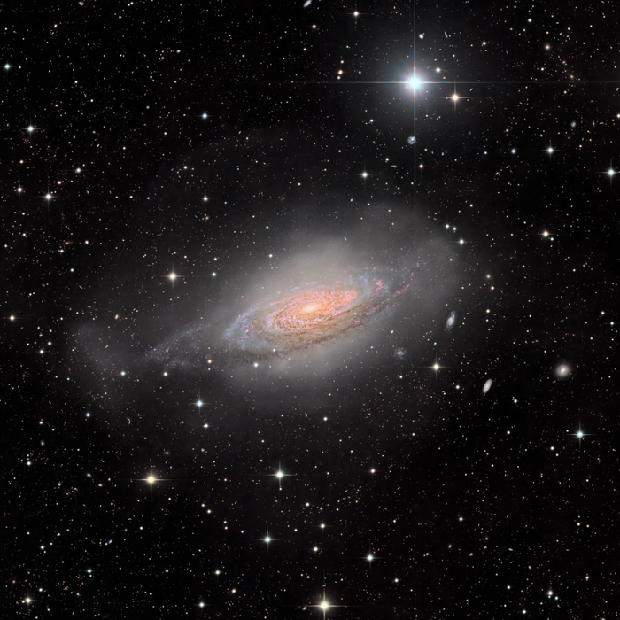 NGC 3521: Космическая выживальщица