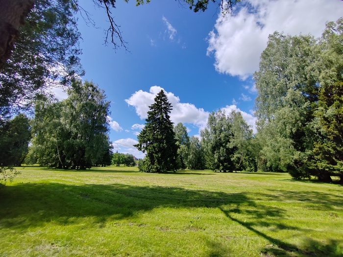 Английский парк