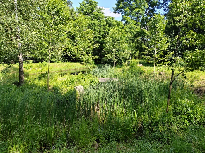 Старый парк, переход в Японский парк. Вы видите мостик? А он тут есть!