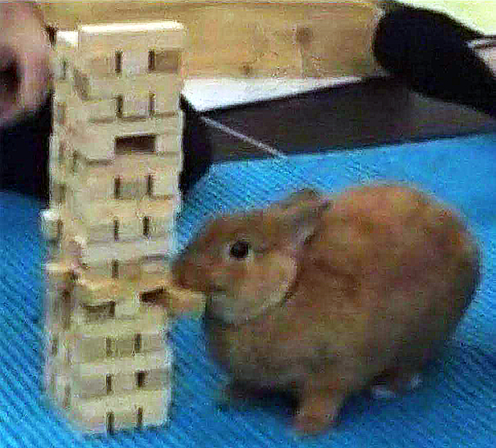 Когда всё только начало налаживаться, и ты такой: