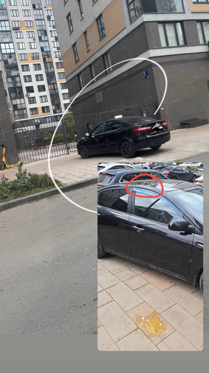 Припарковался на тротуаре и получил куриное яЙцо от соседей