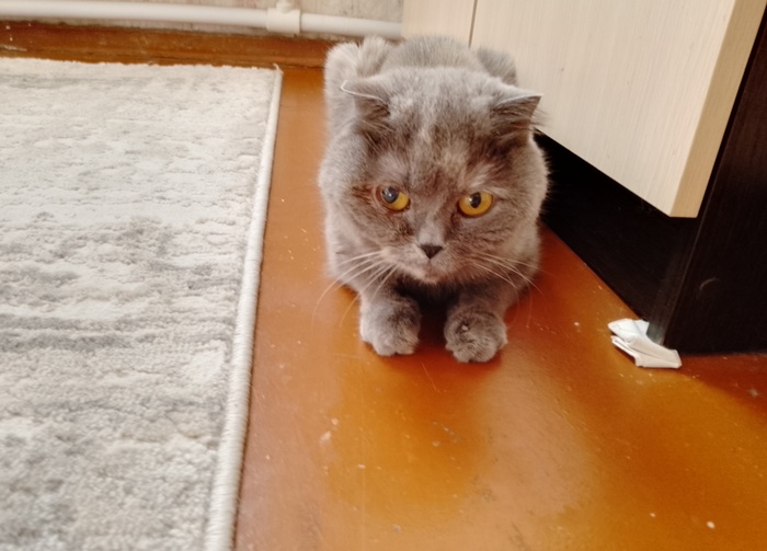 Последнее фото Матильды.