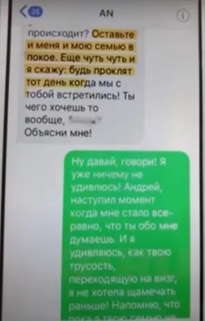 Скриншот переписки между Евгенией и Андреем