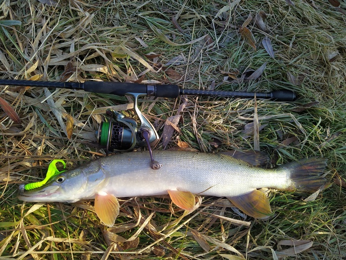 Прогулялся со спиннингом в последний день отпуска