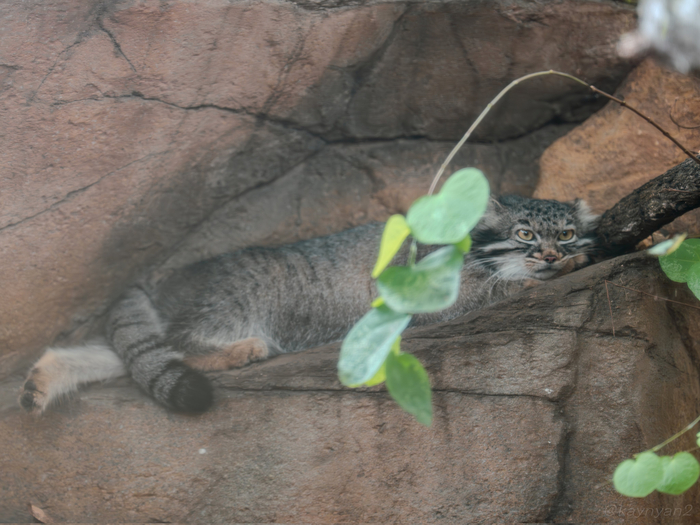 � �������� ������...