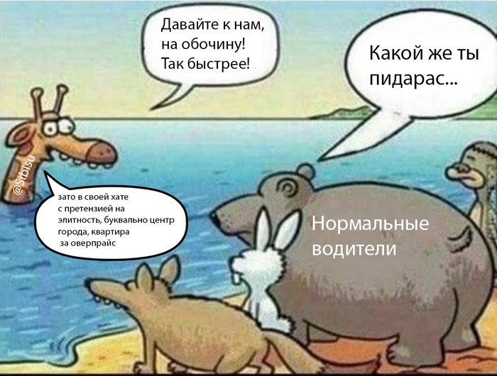 Ответ на пост «Рейд против обочечников на Южном Обходе Подольска!»