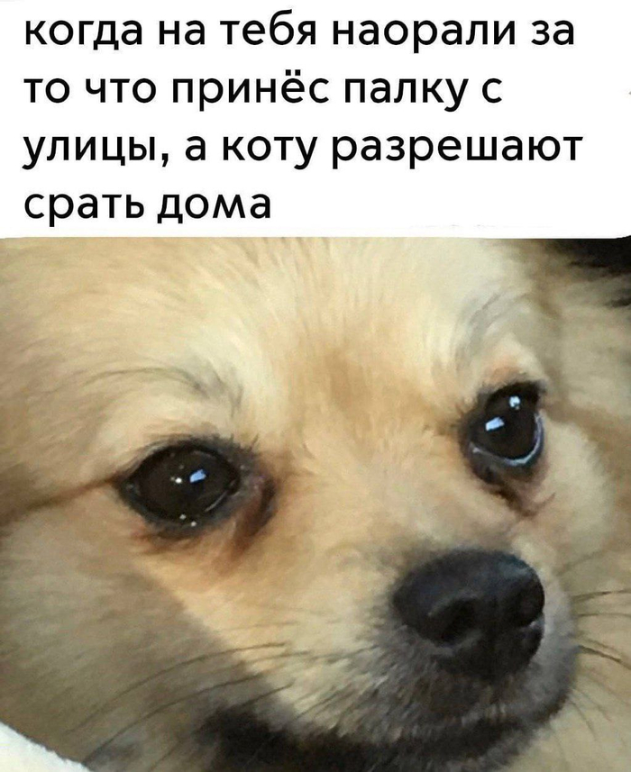 Мир несправедлив