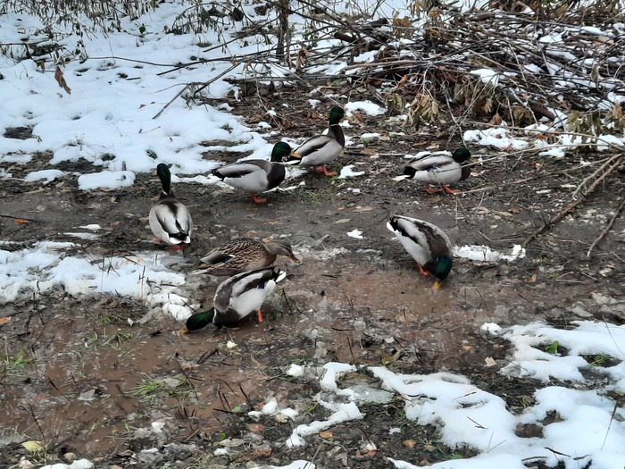 166 дней Есенина #34