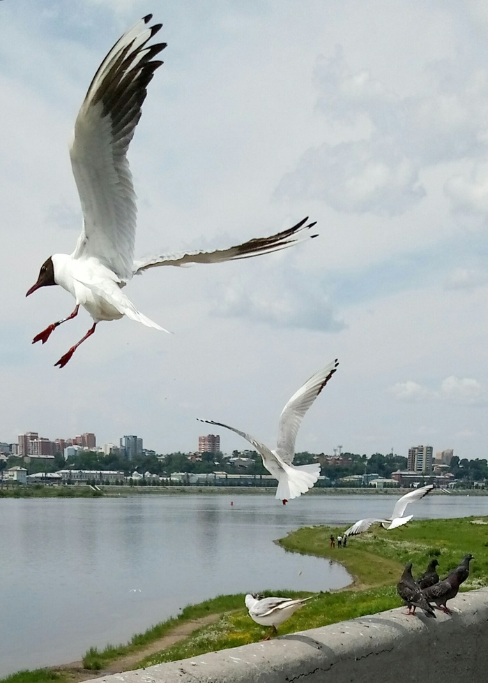 Ответ на пост «Просто хочу поделиться фотографией, которую у себя нашел а архиве»