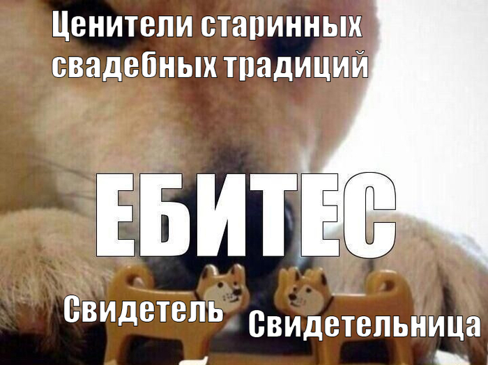 Ответ на пост «Забавные истории на свадьбах»