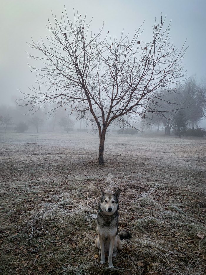 Проведи меня через туман