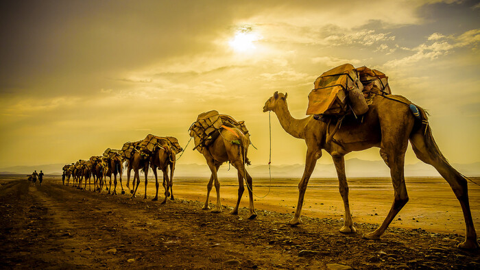 Собака лает, караван идёт